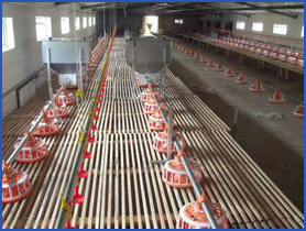 自動喂料系統(tǒng)