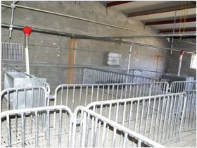 自動喂料系統(tǒng)