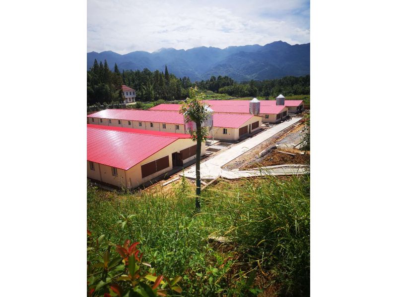 鍍鋅板料塔成功案例