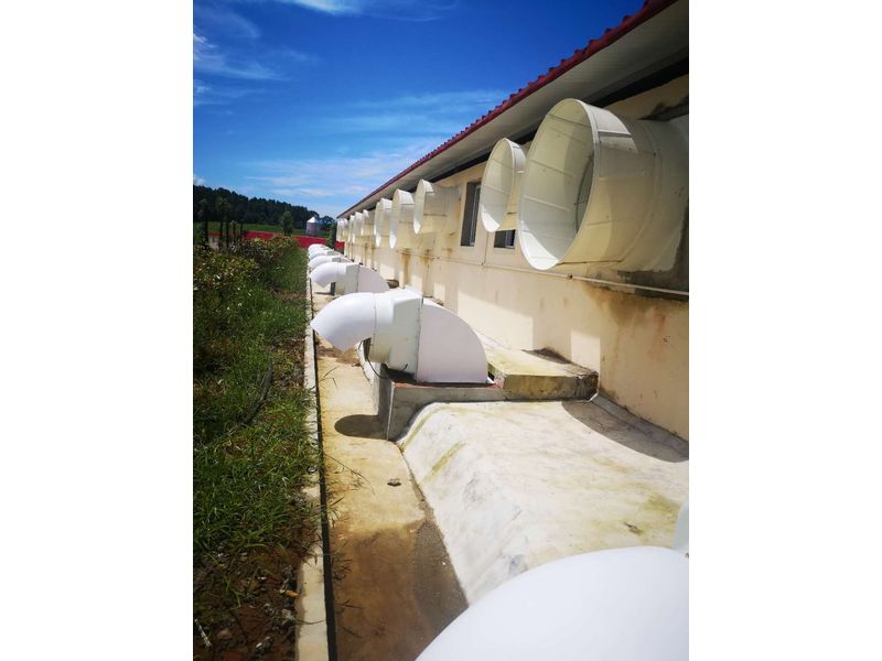 豬場自動(dòng)供料系統(tǒng)